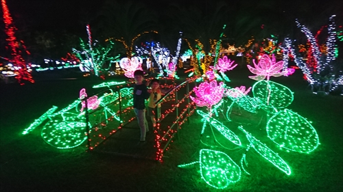 10日・東南植物楽園の光の散歩道！